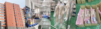 Shenzhen Marcy Healthy Industry Co.,Ltd প্রস্তুতকারকের উত্পাদন লাইন